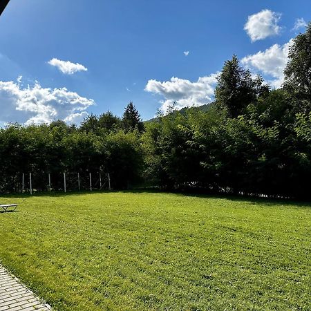 Вилла Casa Cu Salcami Моечу-де-Жос Экстерьер фото
